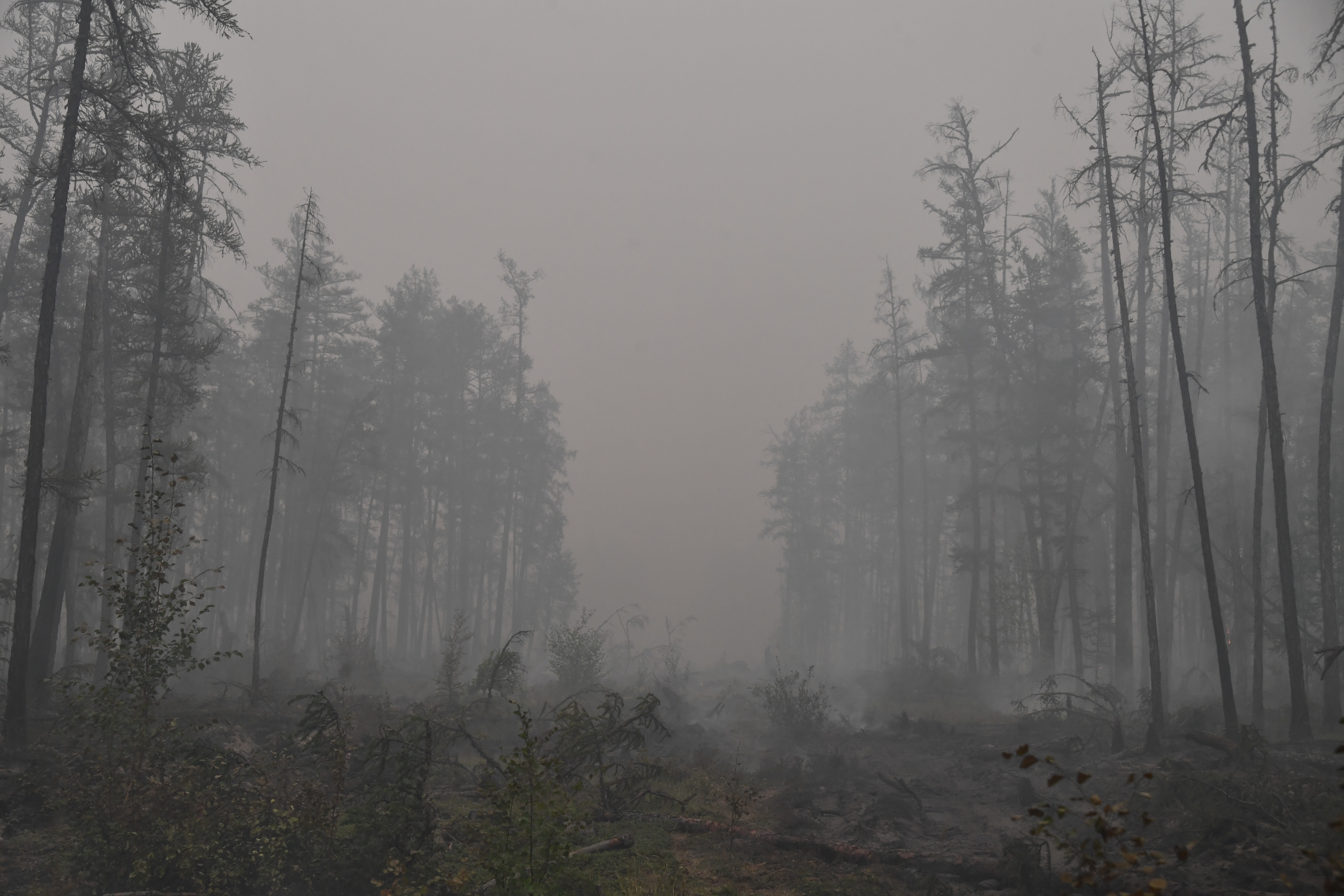 Первые лесные пожары могут начаться в лесах Владимирской области в конце апреля