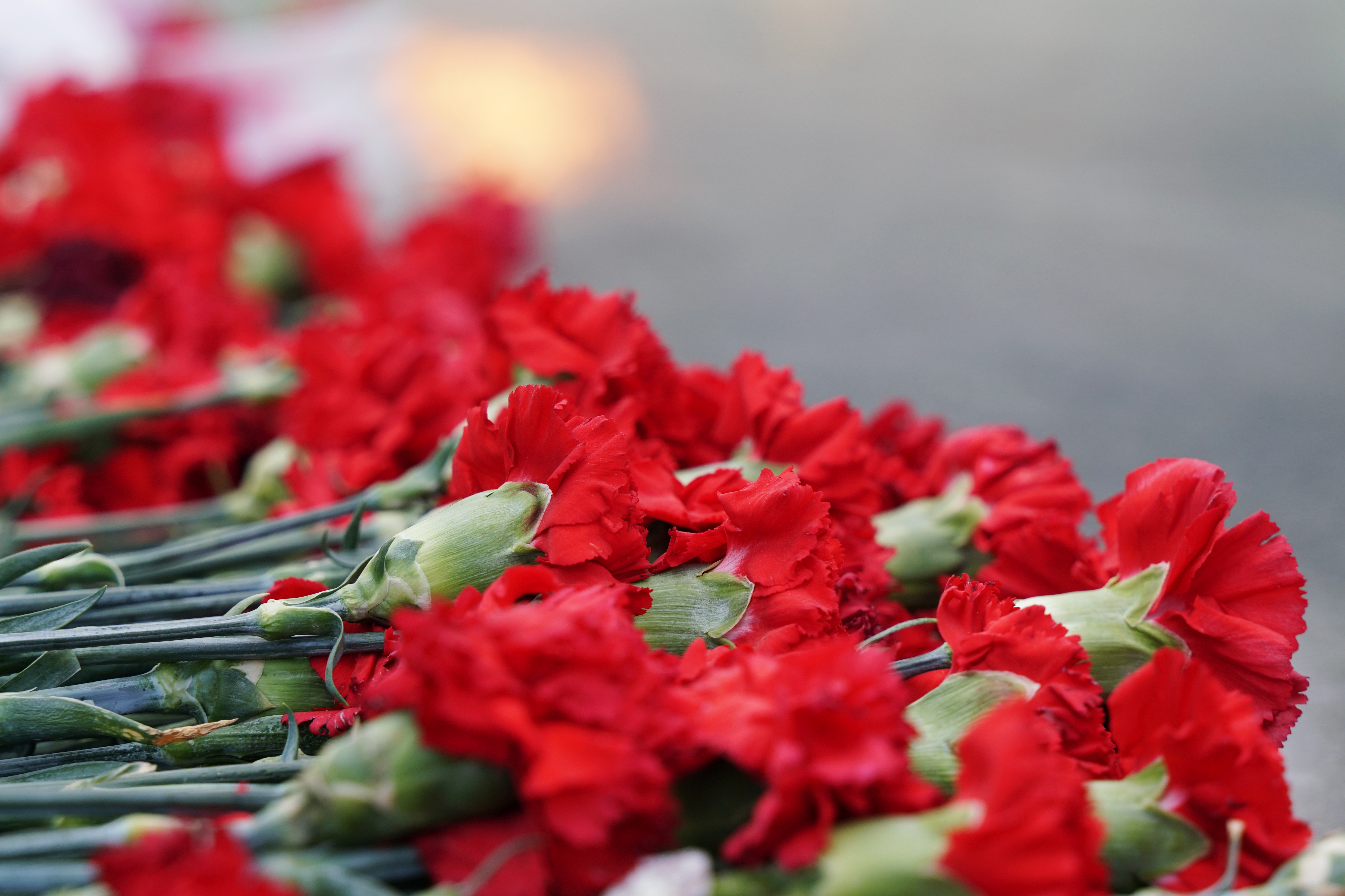 В Краснодарском крае утром 22 июня прошли мероприятия в память о погибших бойцах периода ВОВ