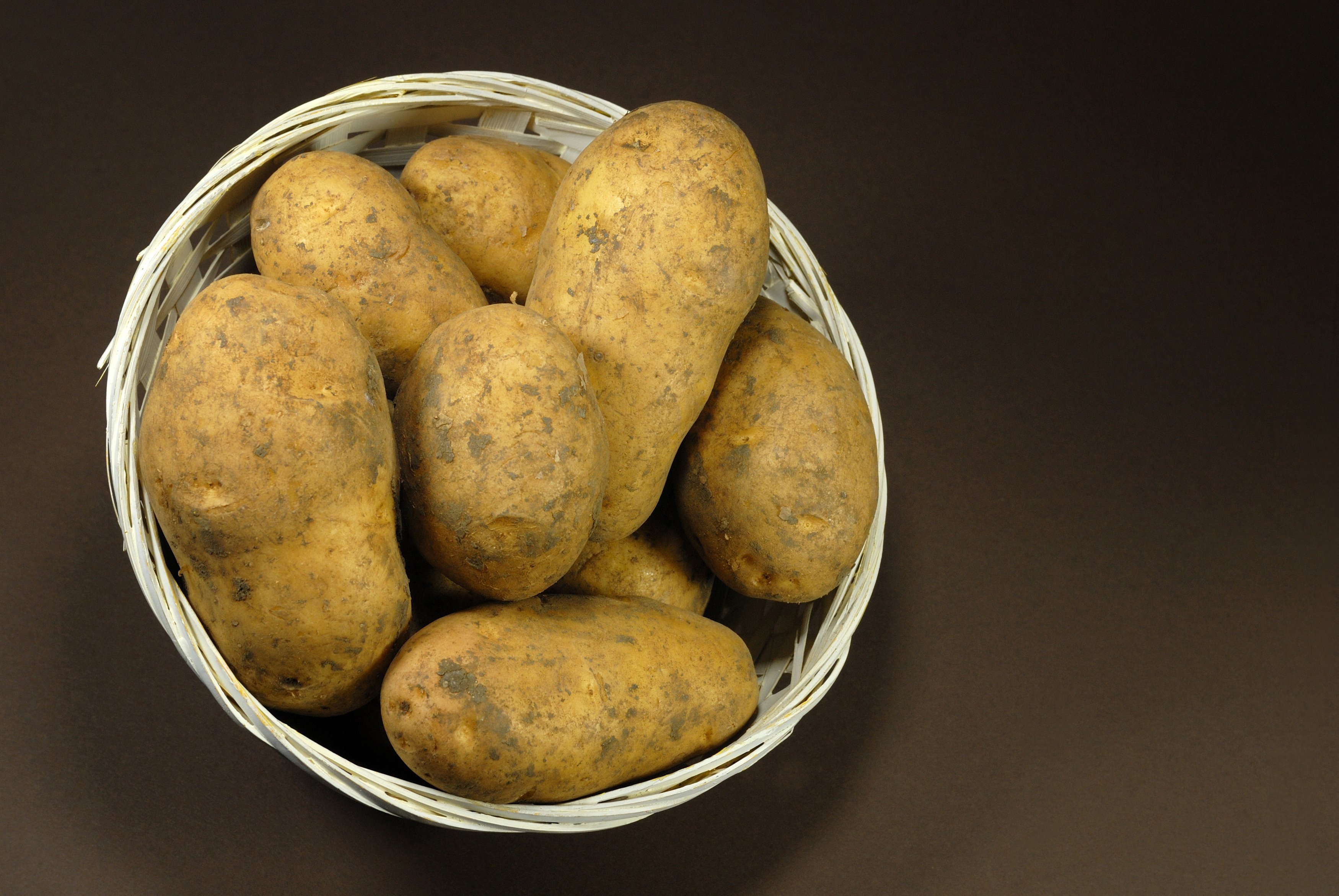 Ривьера сорт картофеля