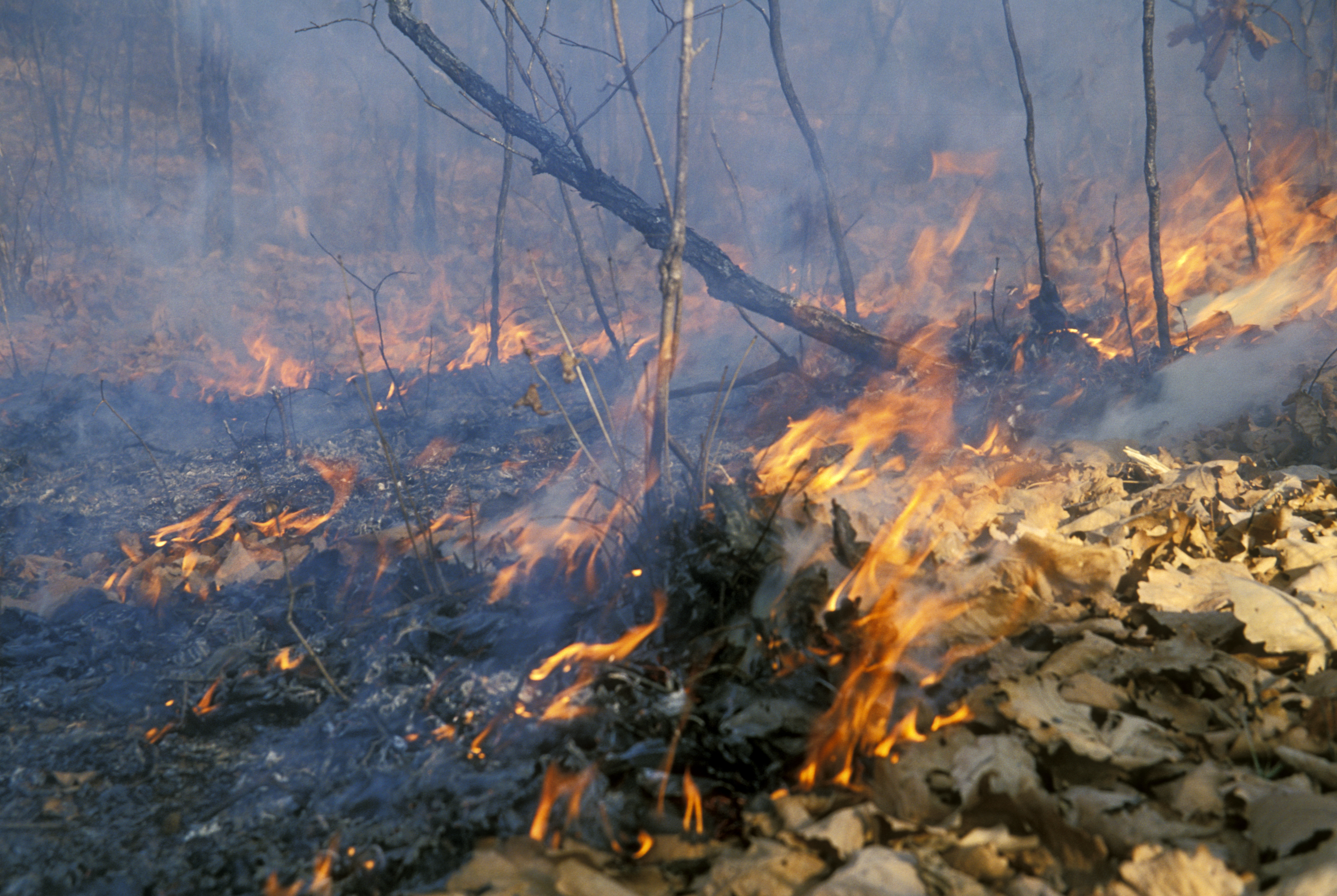 В Новосибирской области начался пожароопасный сезон