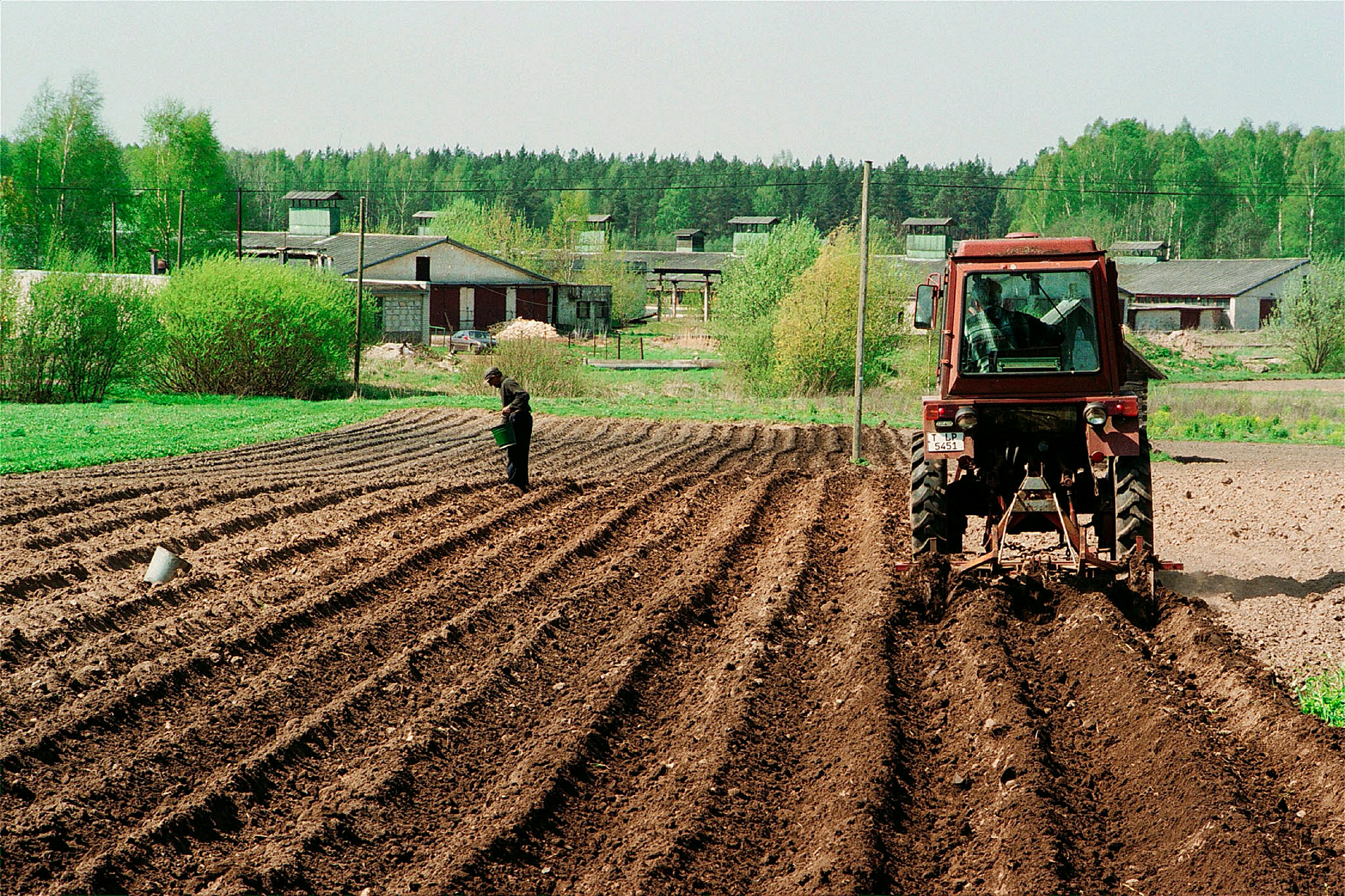 Лучшее время для посадки картофеля в Новосибирске назвал биолог Яновский