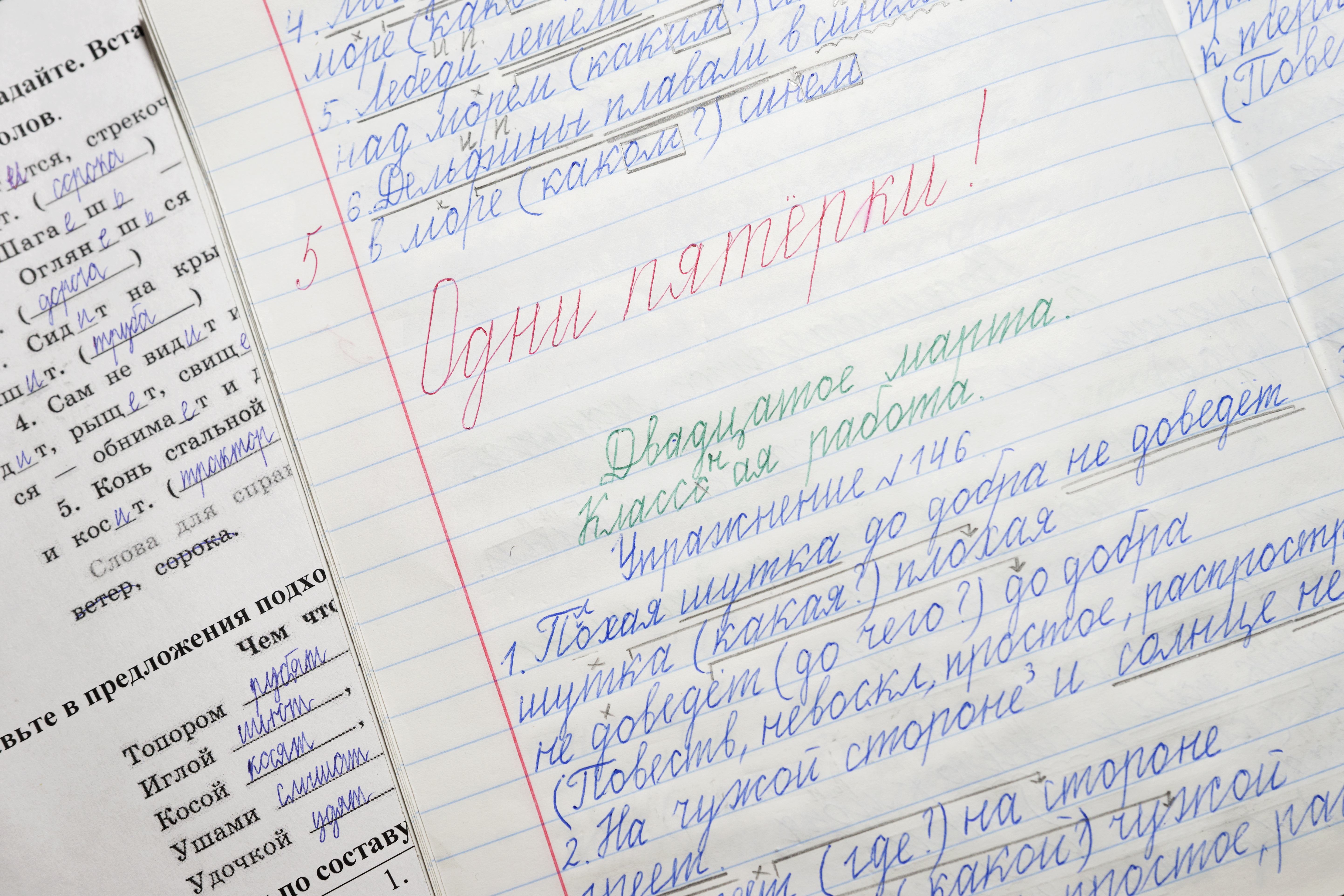 В Госдуму внесут законопроект о проверке знаний русского языка у детей мигрантов