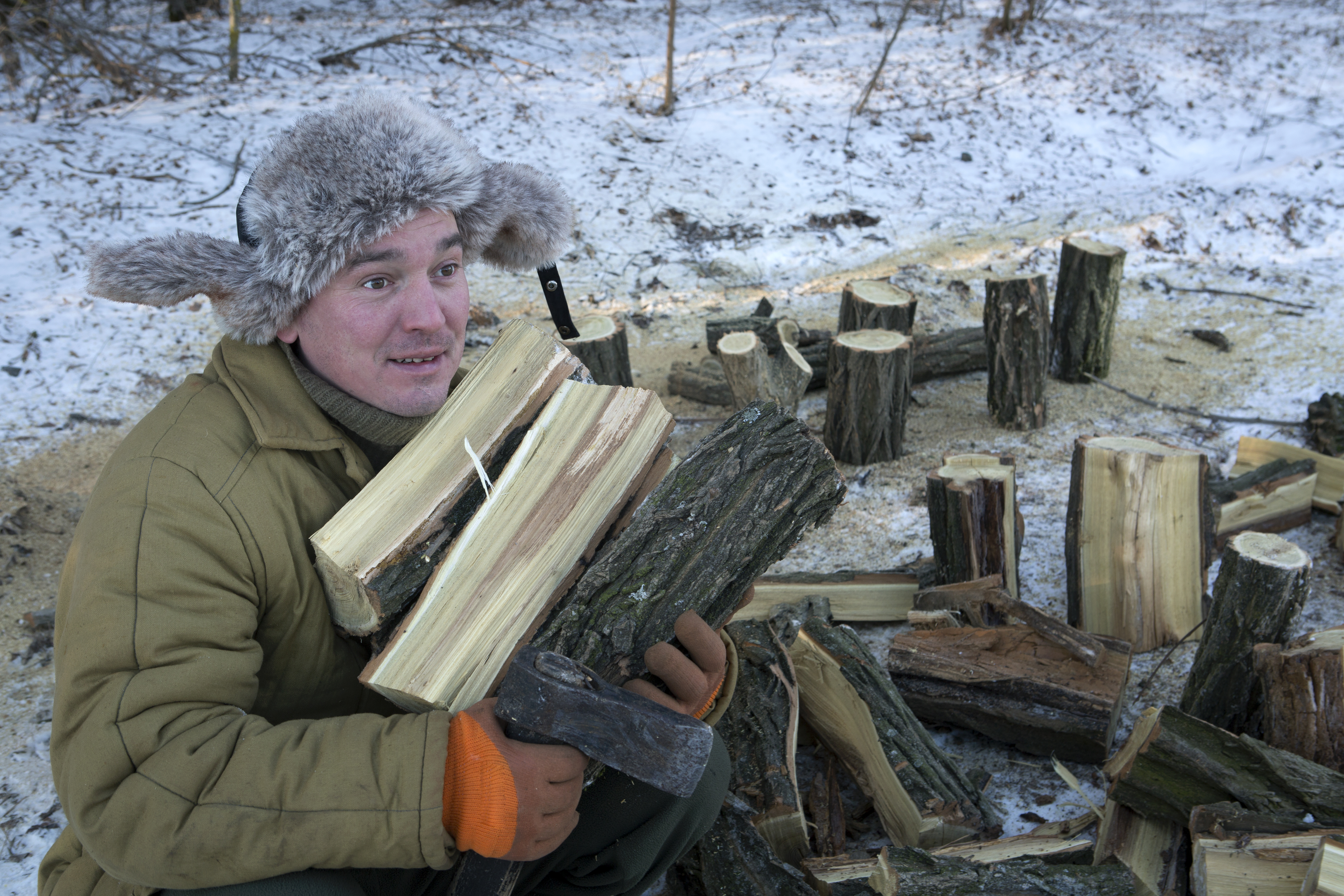 Добро пожаловать в Европу: Румыния отправила Молдавии дрова на зиму