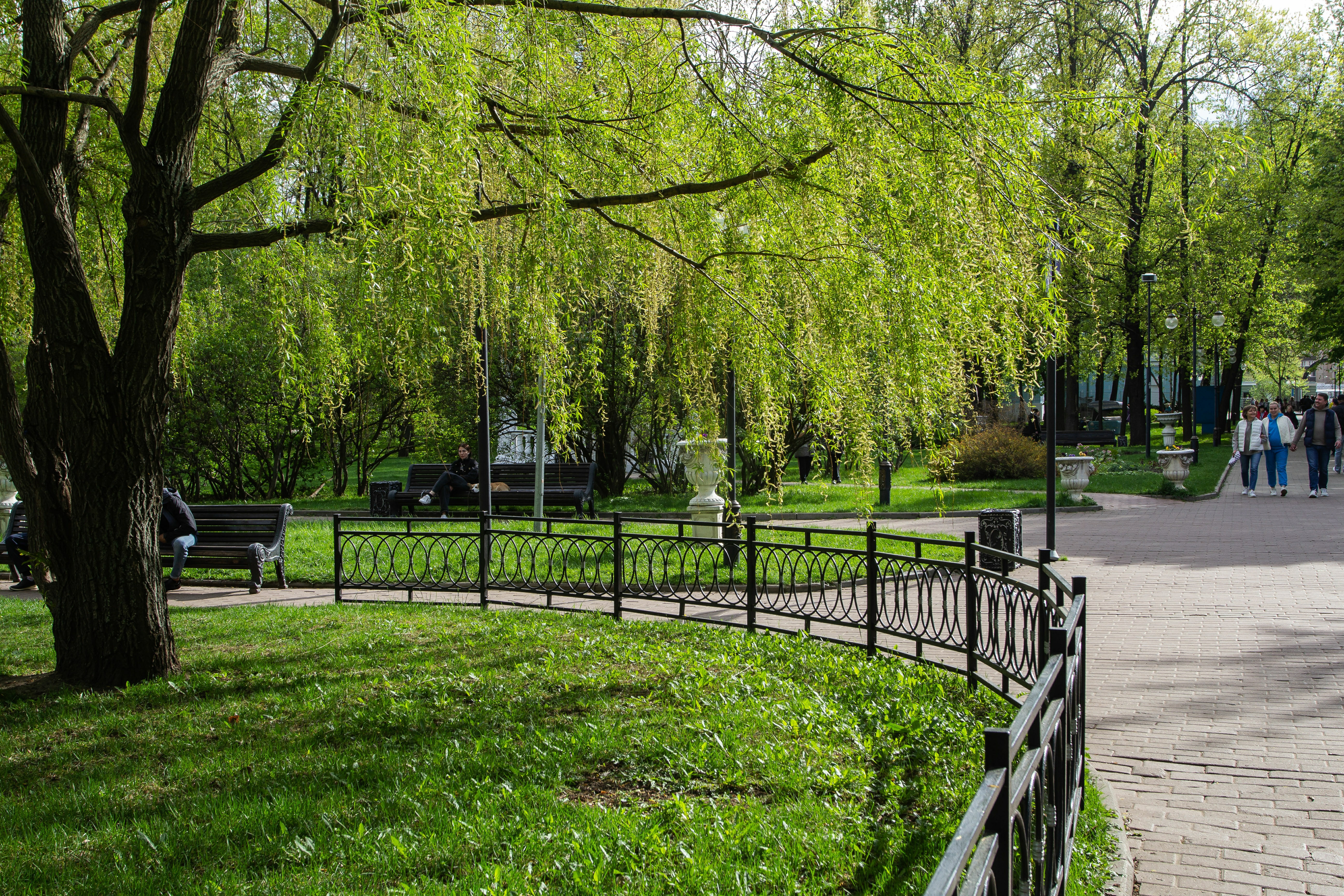 На природные парки возлагаются. Лесопарки Москвы. Дзержинский парк Москва. Щукинский парк. Замоскворечье парк.