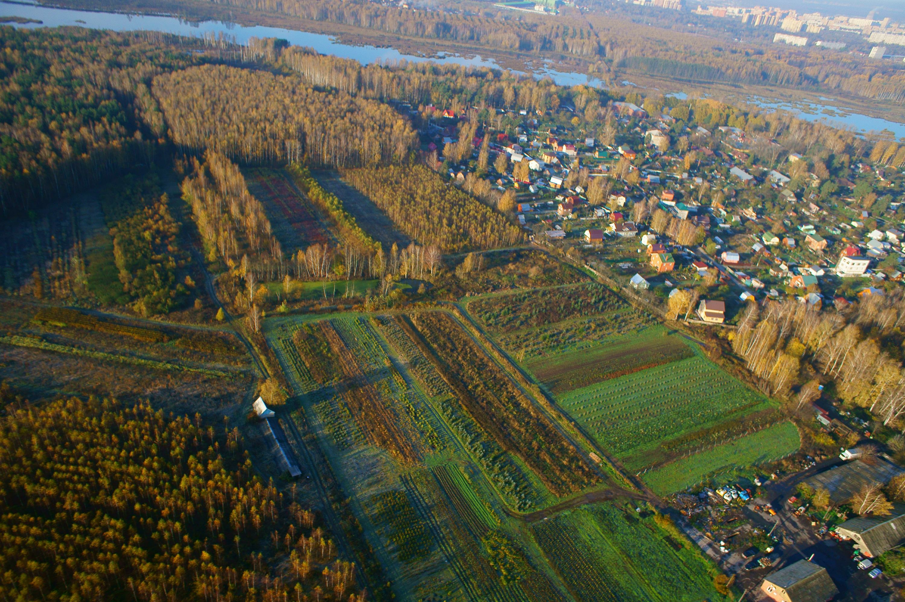 Горка в деревне летом. Деревенский мальчик. Деревня шестово, д. Деревня призрак назия ленинградская область. Сельское хозяйство в деревне.