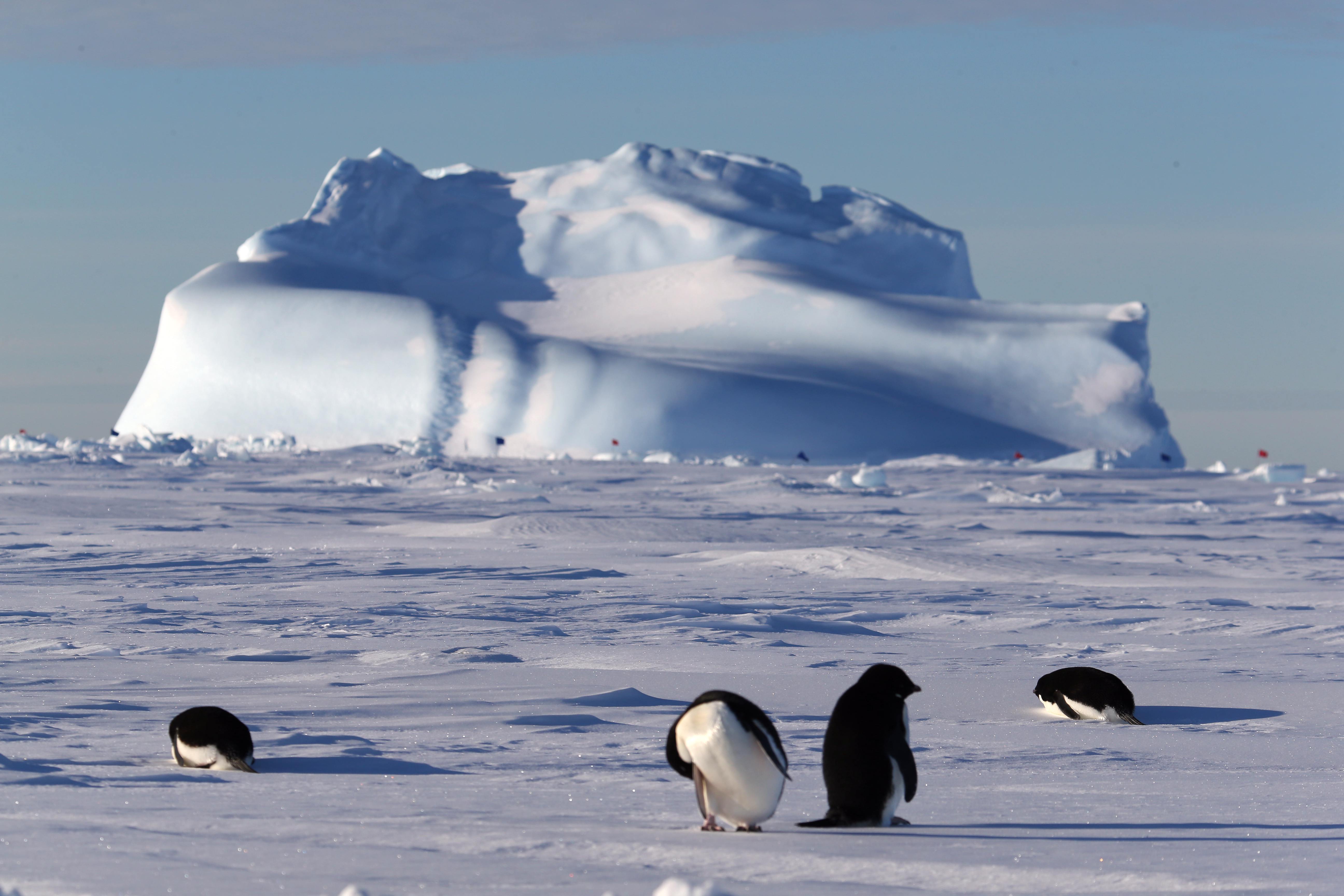 Антарктические широты. Антарктида (материк). Арктика Антарктика Антарктида. Арктика Антарктика Антарктида для детей. Южный полюс Антарктида.