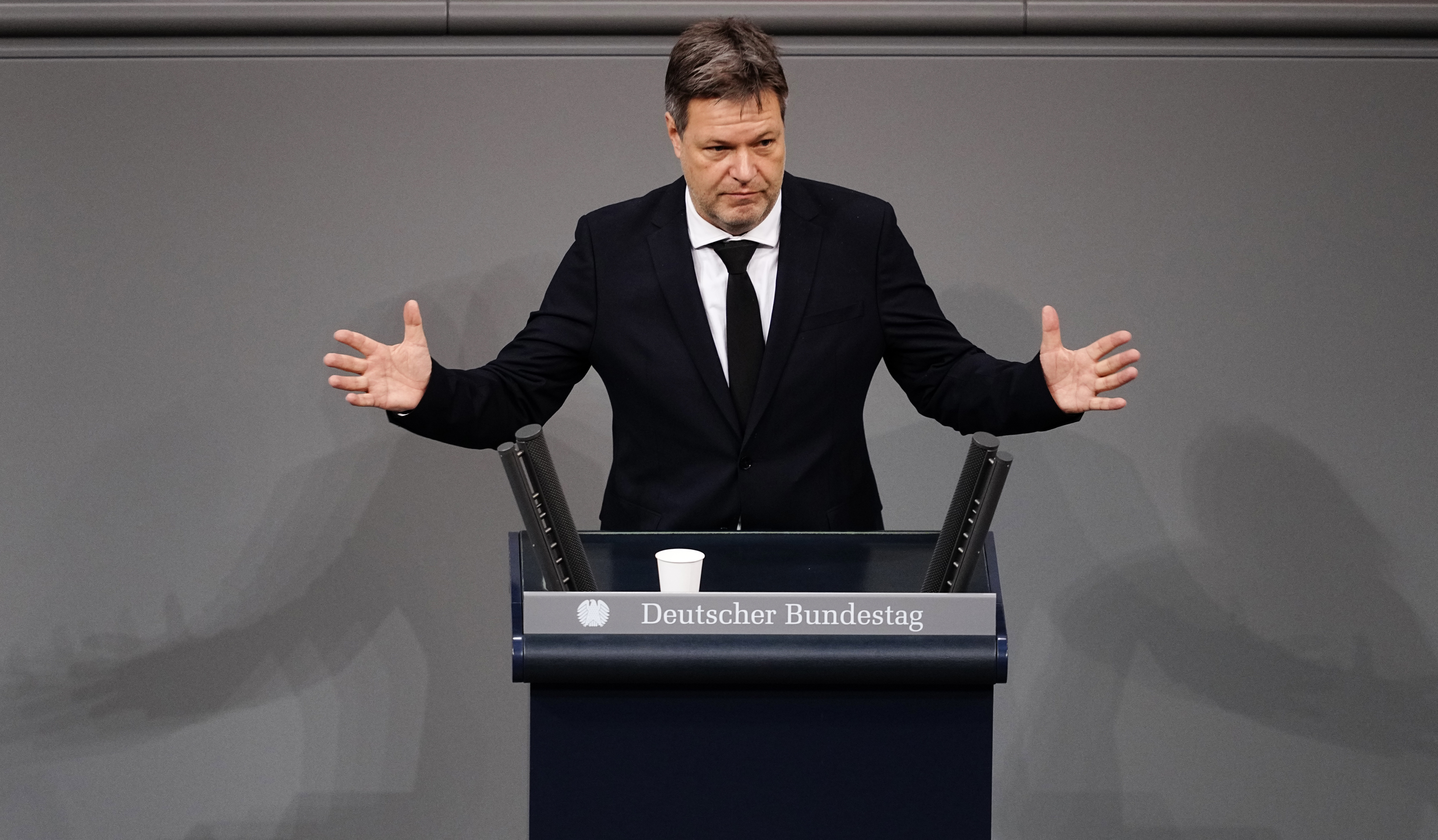 Выборы премьер министра германии. Вице-канцлер ФРГ Хабек.