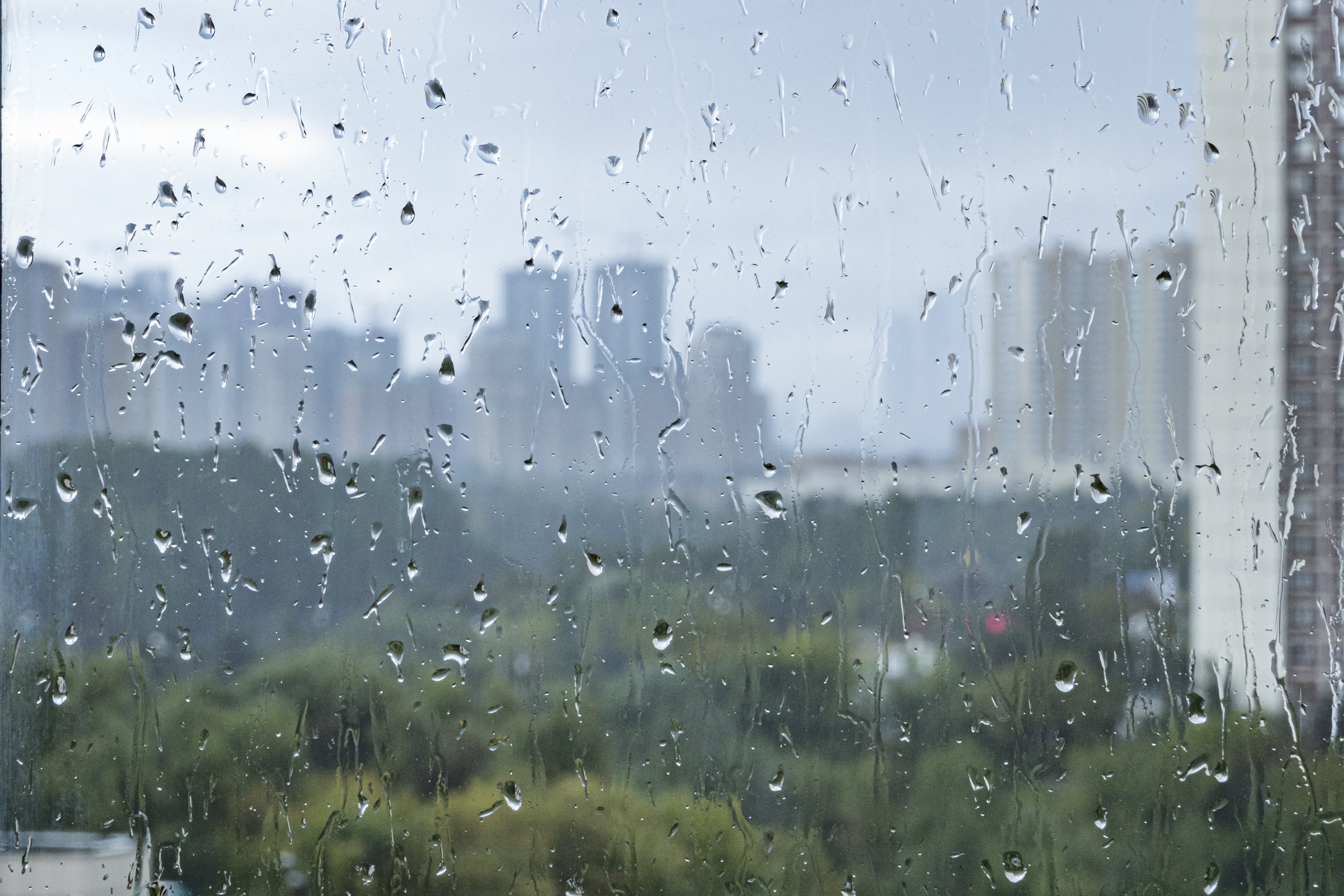 Какое лето будет дождливое. Лето дождь. Летний дождь в саду. Летний сильный дождь. Дождь в летний день.