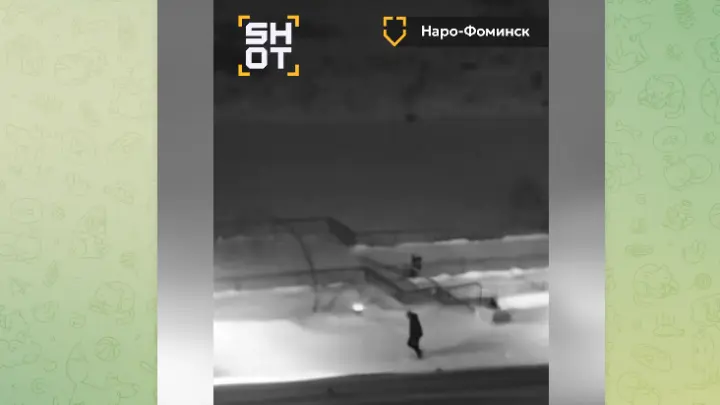 Пробирающихся сквозь сугробы жителей Подмосковья сняли на видео