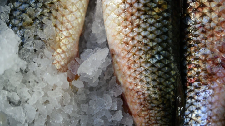 Не видать оренбуржцам воблы: Что случилось с грузом из Казахстана