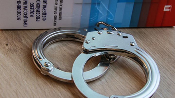 Источники раскрыли причину задержания в Москве бизнесмена Новицкого