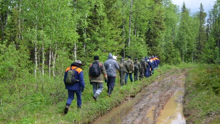Искал маму: спасенный в тайге мальчик из Челябинска рассказал, как провел ночь в лесу