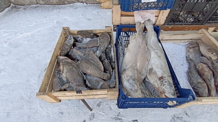 Онколог Карасев назвал три доступных продукта против роста раковых клеток