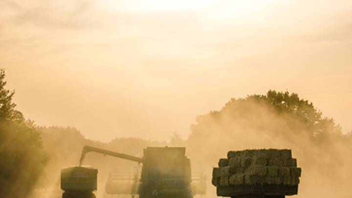 В освобожденной Запорожской области собрали более 1 млн тонн зерновых
