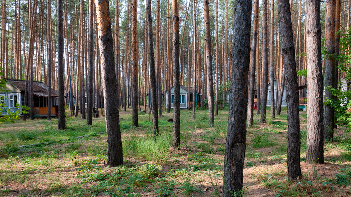 Задержанный в Анапе педофил оказался уголовником с богатым прошлым