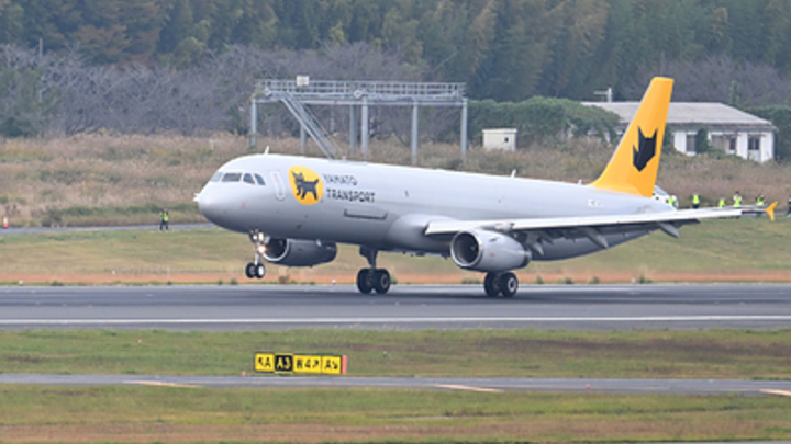 Авиалайнер столкнулся с самолётом береговой охраны в небе над аэропортом Ханеда - NHK