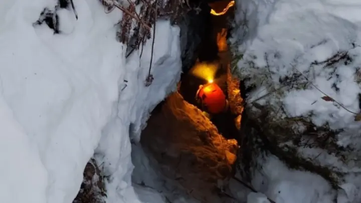 Биолог Медведев назвал места, где нужно искать пропавшую семью Усольцевых