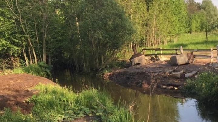 Реку Шаловку в Подмосковье будут возвращать в прежнее русло