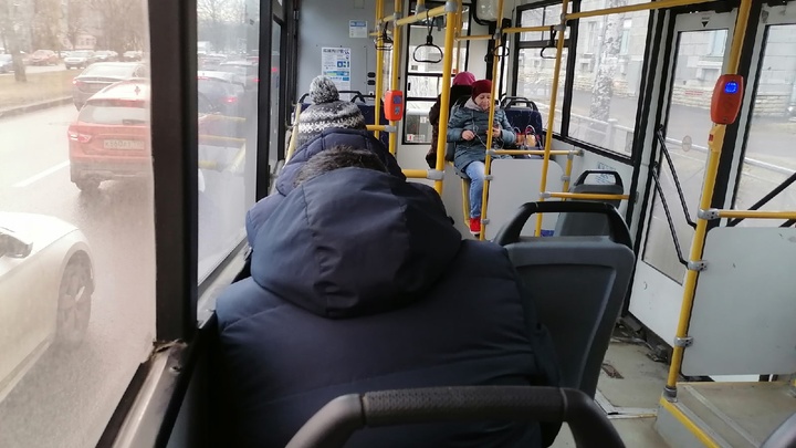 Стало известно, сколько зайцев катается в автобусах Санкт-Петербурга