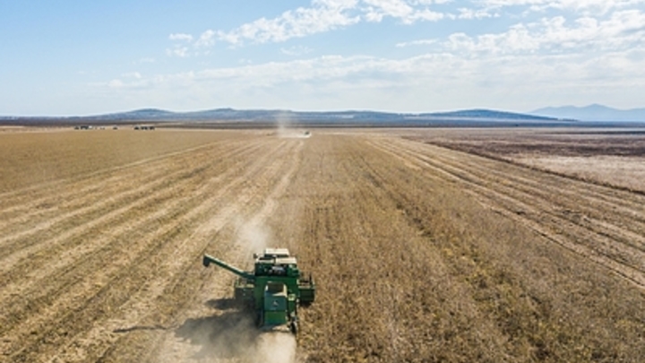 Готовы принять: Беженцев из Израиля пригласили на Дальний Восток России