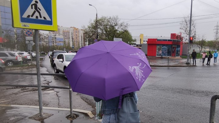 В Забайкальском крае 11 мая ожидается теплая погода и дождь