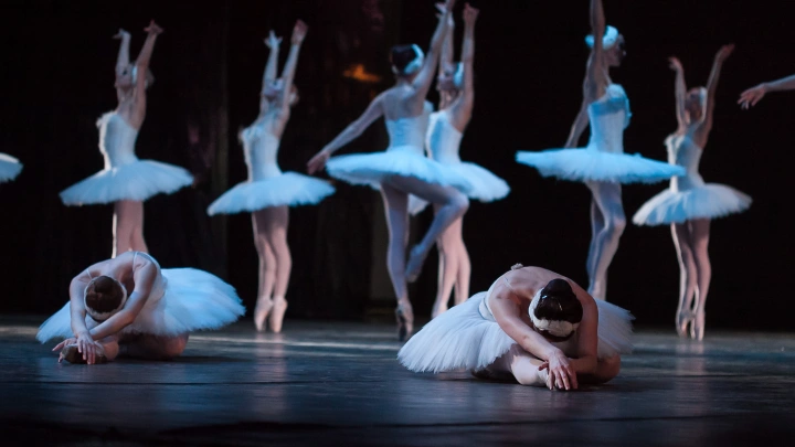 «С радостью их примем»: Отменённых за «Лебединое озеро» украинских артистов балета пригласили в Россию