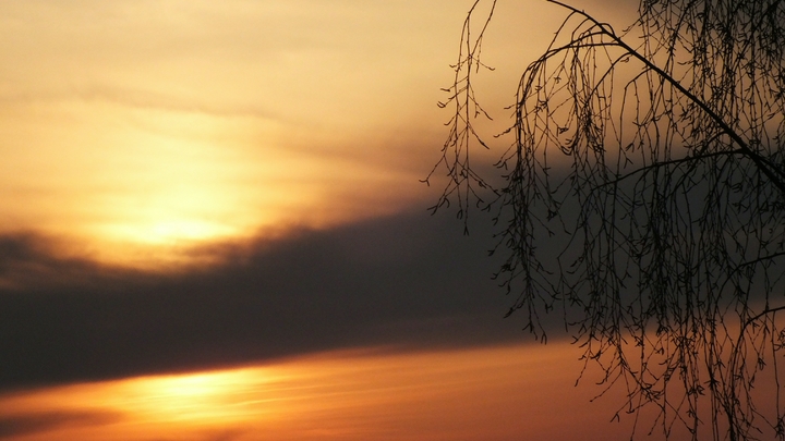 Россия в ожидании весны: Погода подарит немало сюрпризов