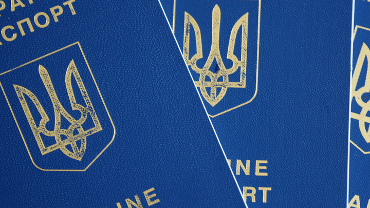 Избавиться от украинского гражданства стало просто: Госдума приняла закон