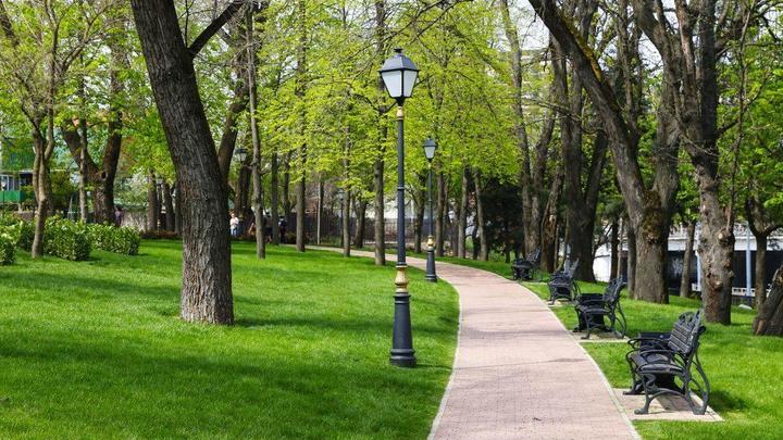 За благоустройство зелёных зон на Кубани проголосовали более 500 тыс. жителей