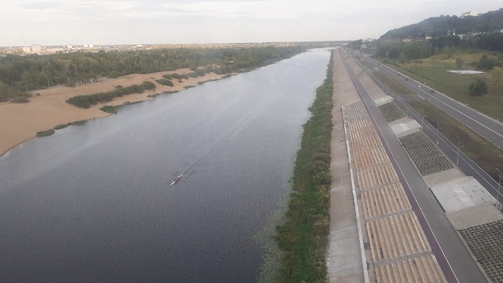 Холероподобный вибрион нашли в воде на Гребном канале