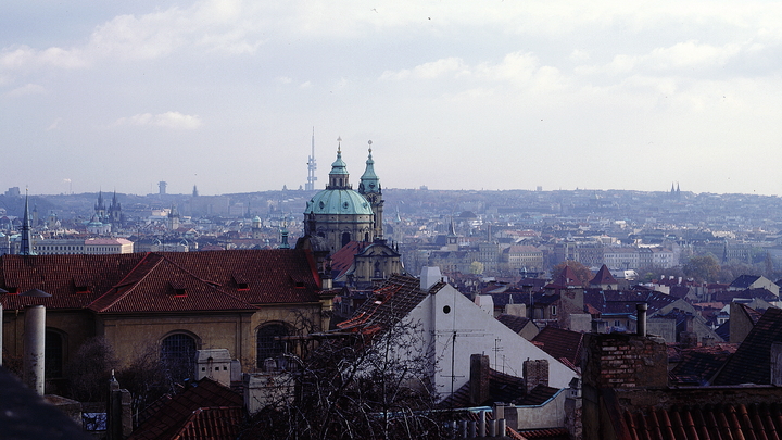 Поднимется страшный вой: Депутат Госдумы предрёк ЕС развал из-за русского газа