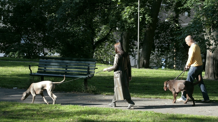 Особый путь Швеции? Единственная страна, пустившая эпидемию на самотёк, надеется на сильное общество - Spiegel