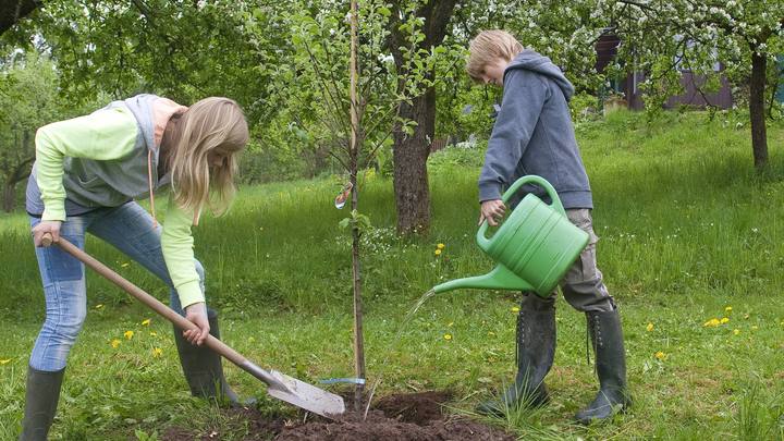 Майские выходные на 10 дней: Депутат Госдумы назвал две причины для непрерывных праздников