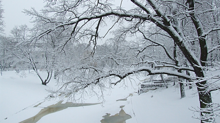 Неудивительно, что русские так круты!: Читатели Daily Mail восхитились жителями Коми