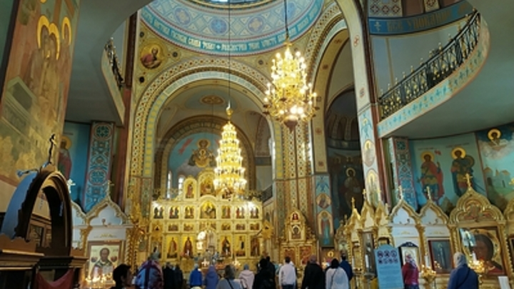 «МедиаПоток»: Ученые признали смерть не конечной точкой существования