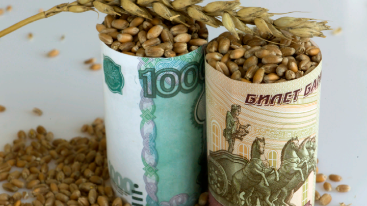 Россия выходит из зерновой сделки? Путин озвучил несколько причин такого решения