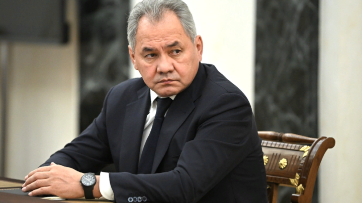 Шойгу на примере Алжира доказал оружейный потенциал России