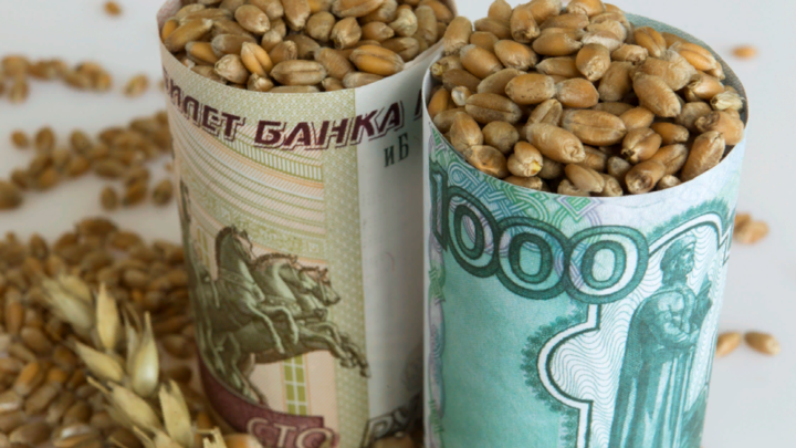 Россия не говорила о продлении зерновой сделки: Песков опроверг вбросы о согласии Путина