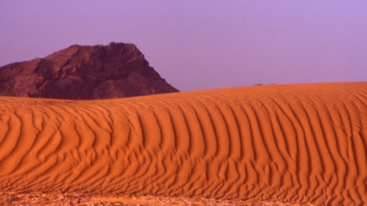 В Южной Африке найдён златокрот, считавшийся вымершим 90 лет назад