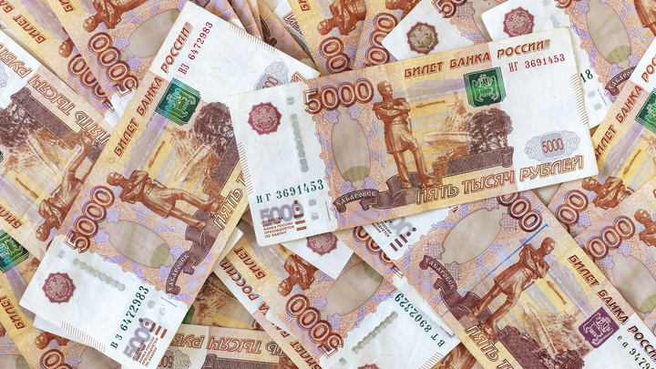 Вернуть семьям 47 тысяч рублей: В России предложили увеличить размер налогового вычета