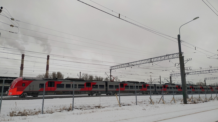 История кота Твикса получила продолжение: Где был хозяин и что думают проводники?