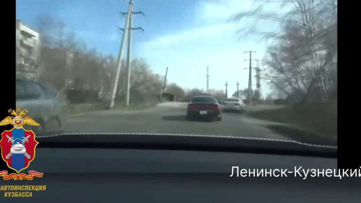 В Ленинске-Кузнецком водитель без прав устроил погоню с ГИБДД