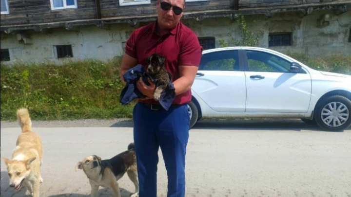 Не побоялись испачкаться: челябинские полицейские спасли тонущего в гудроне щенка