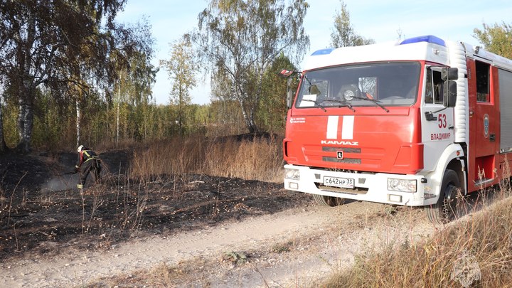 Во Владимирской области за сутки тушили четыре травяных пожара