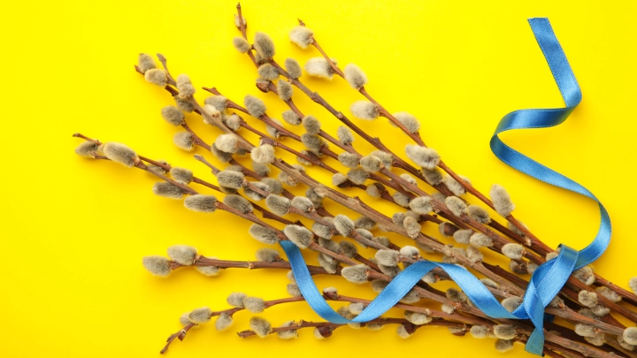 Священник объяснил, что делать с освящённой вербой и почему её нельзя выбрасывать