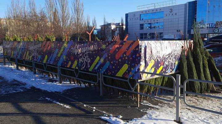 Где в Кургане купить ёлку к Новому Году: список адресов