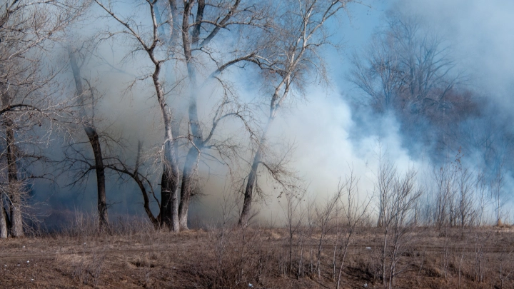 Глаза выедает: Пожарные не справляются с огнём в Забайкалье - на помощь им идут даже дети