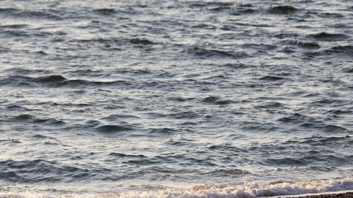 Атака в Черноморье: ВСУ избрали новую тактику по захвату острова Змеиный