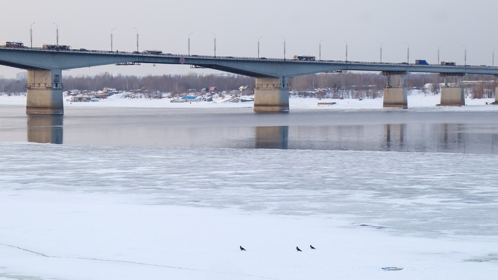 На берегу Камы в Перми нашли тело мужчины