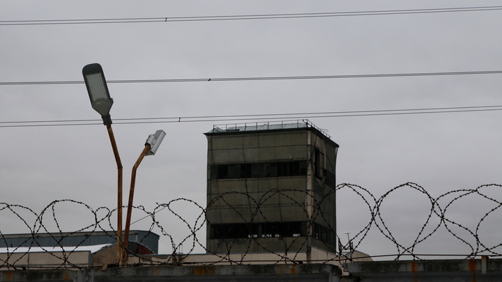 Пограничники Румынии и Молдавии начали совместно патрулировать границу